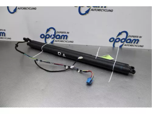 Set Gasdempers Achterklep-7877978 (14788297)