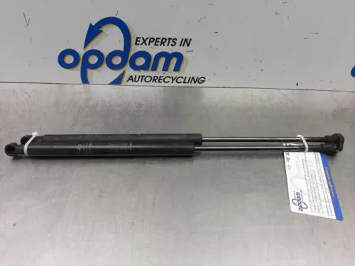 Set Gasdempers Achterklep-7876828