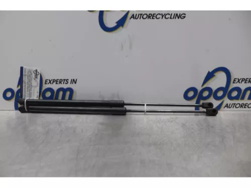 Set Gasdempers Achterklep-7612268