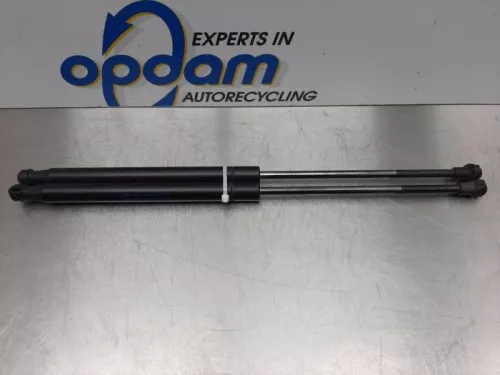 Set Gasdempers Achterklep-7746426