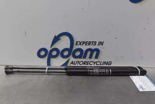 Set Gasdempers Achterklep-7873509