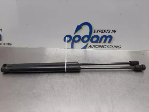 Set Gasdempers Achterklep-7877190