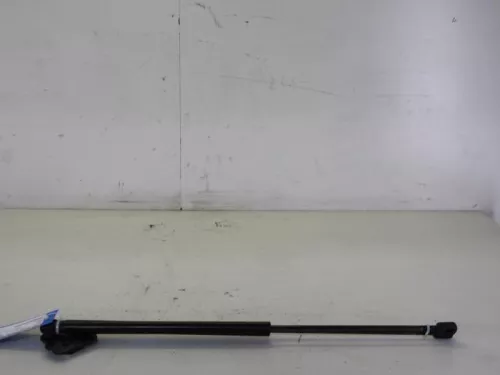 Set Gasdempers Achterklep-7884898