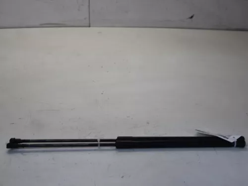 Set Gasdempers Achterklep-7714606