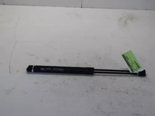 Set Gasdempers Achterklep-7716540