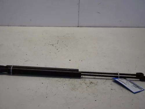 Set Gasdempers Achterklep-7614997