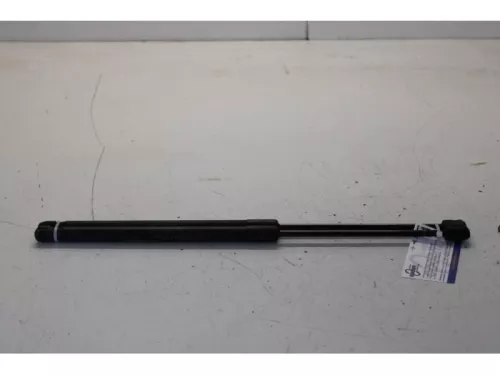 Set Gasdempers Achterklep-7737073