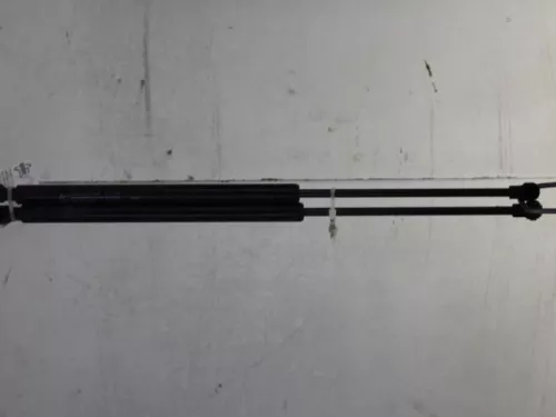 Set Gasdempers Achterklep-7880793