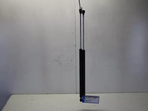 Set Gasdempers Achterklep-7882387