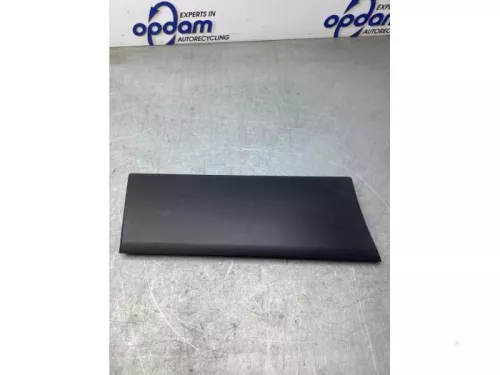 Sierstrip-8188616 (21281103)