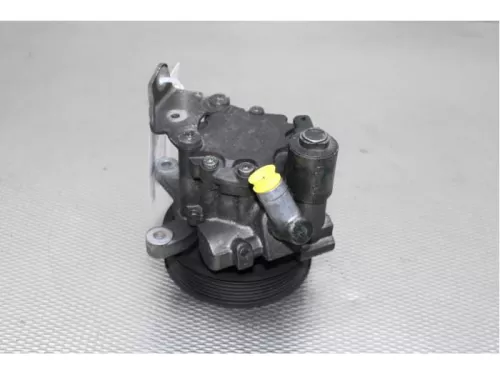 Stuurbekrachtiging Pomp-7879177