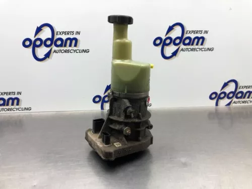 Stuurbekrachtiging Pomp-8209422
