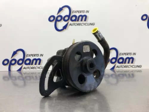 Stuurbekrachtiging Pomp-8220837 (21360472)