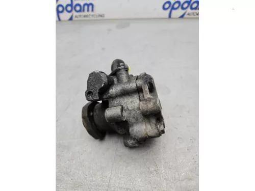 Stuurbekrachtiging Pomp-8173331 (21877891)