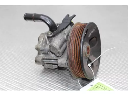 Stuurbekrachtiging Pomp-7738097