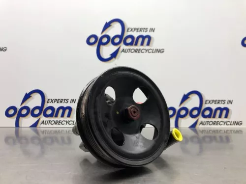 Stuurbekrachtiging Pomp-8217675 (21465459)
