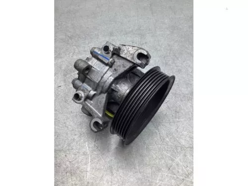 Stuurbekrachtiging Pomp-7989068