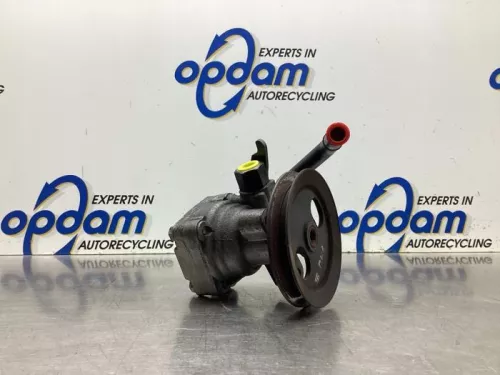 Stuurbekrachtiging Pomp-8053321