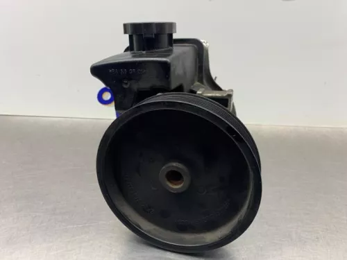 Stuurbekrachtiging Pomp-8203393 (21741178)