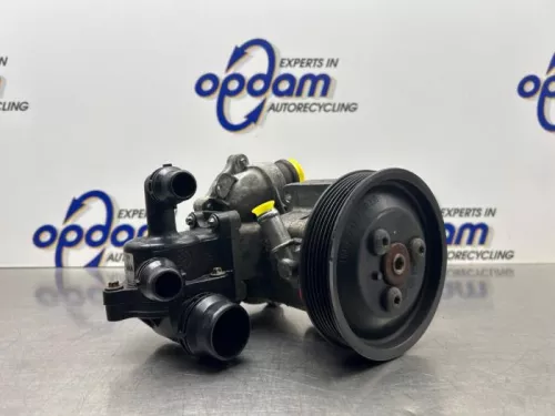 Stuurbekrachtiging Pomp-8309861