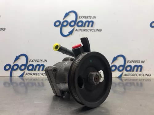 Stuurbekrachtiging Pomp-8126234