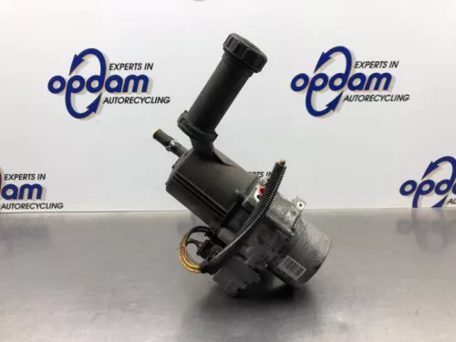 Stuurbekrachtiging Pomp-8257786