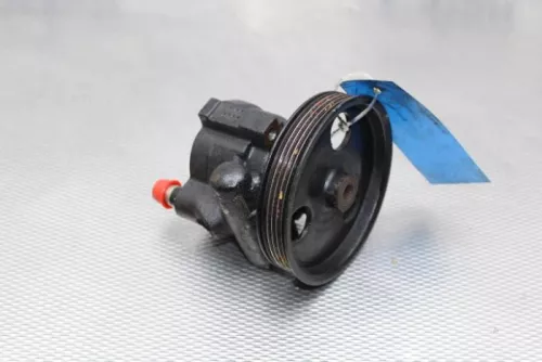 Stuurbekrachtiging Pomp-7887474