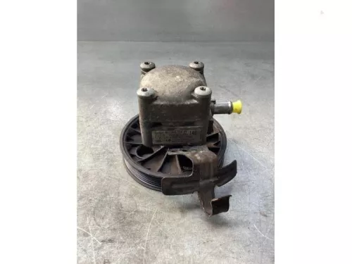 Stuurbekrachtiging Pomp-8238033