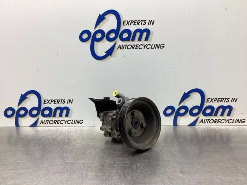 Stuurbekrachtiging Pomp-7980794
