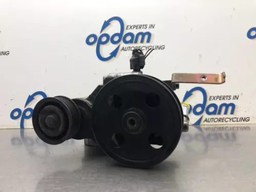 Stuurbekrachtiging Pomp-8163012