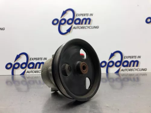 Stuurbekrachtiging Pomp-8238583 (21334412)