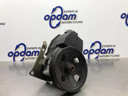 Stuurbekrachtiging Pomp-8137998 (21454515)