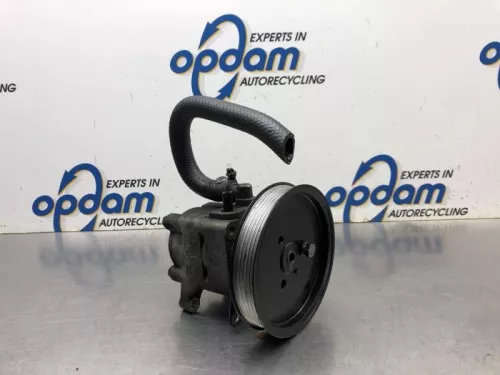 Stuurbekrachtiging Pomp-8161044