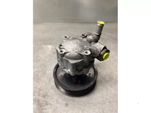 Stuurbekrachtiging Pomp-8242383