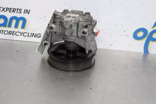 Stuurbekrachtiging Pomp-7850953 (15700375)