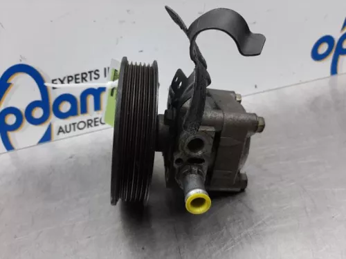 Stuurbekrachtiging Pomp-7878387 (15766534)