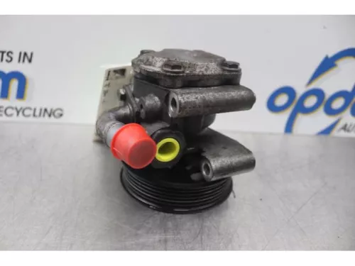 Stuurbekrachtiging Pomp-7746395 (14775871)