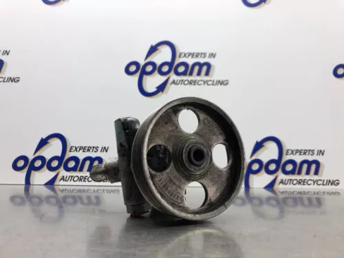 Stuurbekrachtiging Pomp-7890975