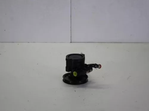 Stuurbekrachtiging Pomp-7882939