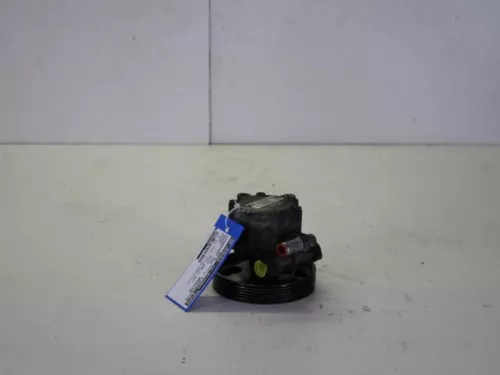 Stuurbekrachtiging Pomp-7882960