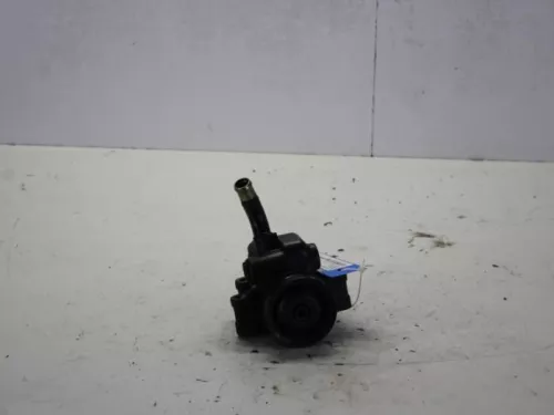Stuurbekrachtiging Pomp-7881903 (10488459)