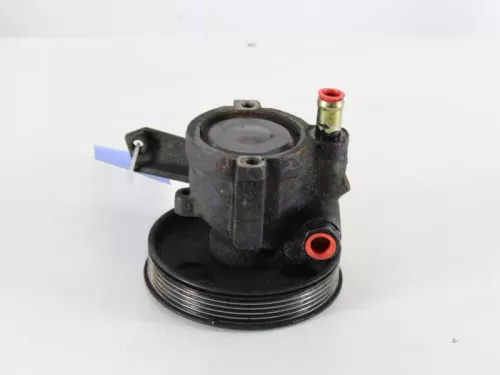 Stuurbekrachtiging Pomp-7889861