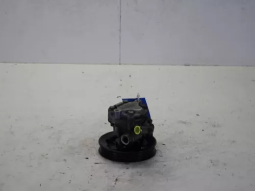 Stuurbekrachtiging Pomp-7611063 (10491299)