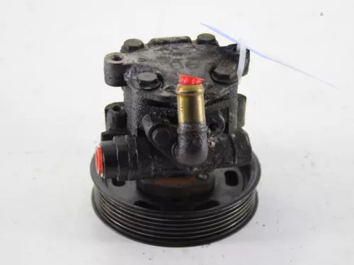 Stuurbekrachtiging Pomp-7887517