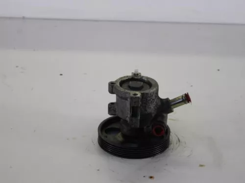Stuurbekrachtiging Pomp-7898328