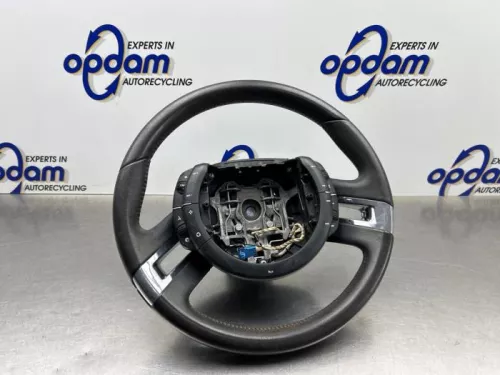 Stuurwiel-8195532
