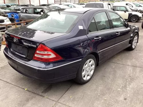 Tussenas-8203393 (21058805)