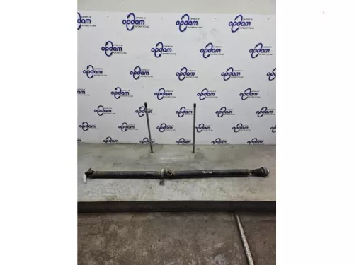 Tussenas-8291253 (22279689)