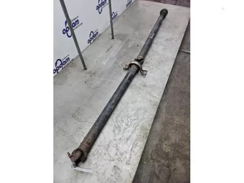 Tussenas-8291253 (22279689)