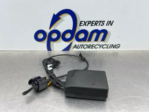 Veiligheidsgordel Insteek links-achter-8195532